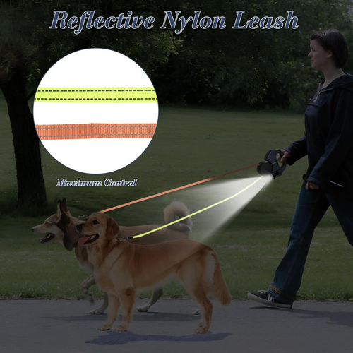360 Swivel Dual Pet Dog Walking Leash